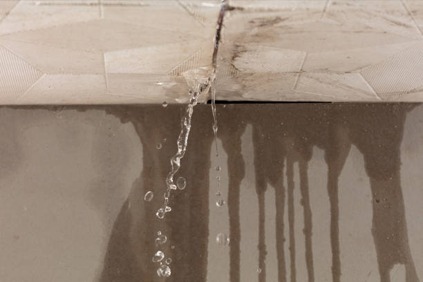 Professional Water Damage Repair technician working in Tecumseh, OK